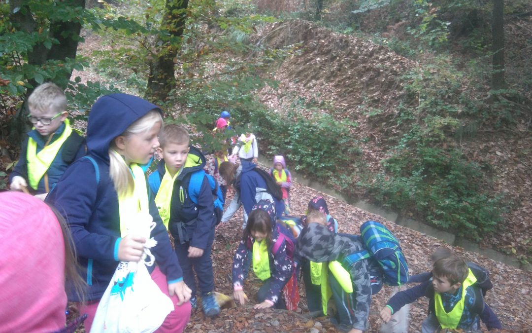 Naravoslovni dan v gozdu za prvošolce