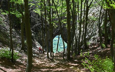 Športni dan za 7. razred – POHOD PO AJDOVSKEM ROBU – JE PRESTAVLJEN  NA OKTOBER